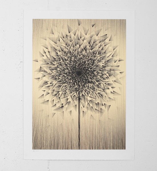 Kai and Sunny smashed dandy gold screen print illustration pencil art modern serigraphie