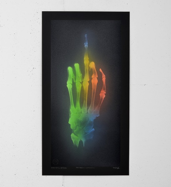 shok1 Rainbow Lorikeet print graffiti original artwork the shok street art urbain london serigraphie