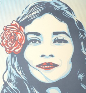 Shepard Fairey Obey giant defend dignity offset print collection oeuvre art artwork detail Shepard Fairey Obey giant defend dignity offset print collection oeuvre art artwork detail