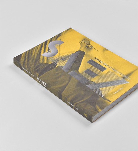 zevs-l-execution-d-une-image-book-livre-alternatives-christophe-aguirre-schwarz-2