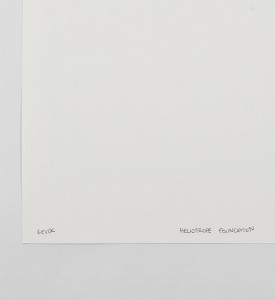 revok-550-helena-street-heliotrope-foundation-art-print-5 revok-550-helena-street-heliotrope-foundation-art-print-5