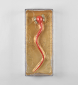 kaws-bendy-red-2003-colette-edition-7