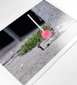 Slinkachu-Damn-kids-Stuttgart-Germany-print-Andipa-Gallery-5