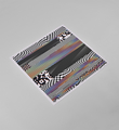 felipe-pantone-afterimage-art-artwork-screenprint-kolly-gallery-5
