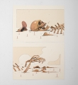 Horizontal decomposition